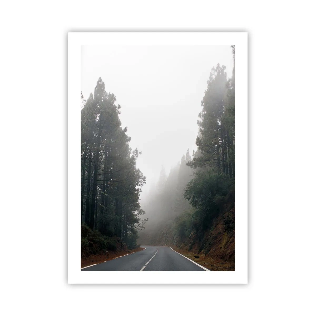 Plakat - En fortælling om en magisk skov - 50x70 cm