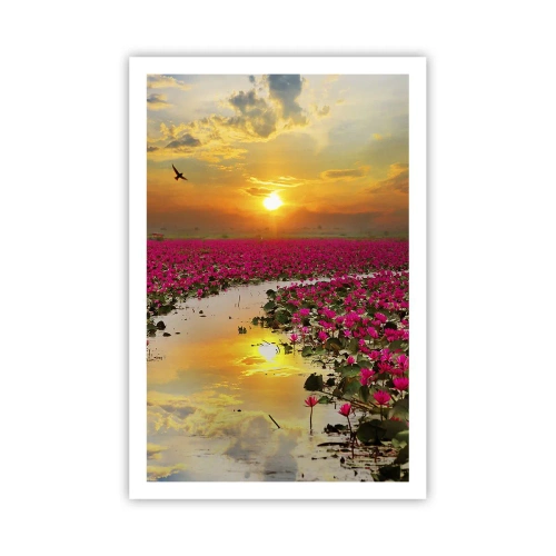 Plakat - Søens hemmelige liv - 61x91 cm