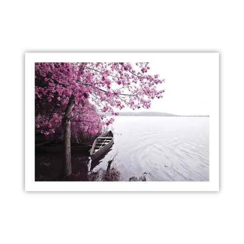 Plakat - I lyserød stilhed - 70x50 cm
