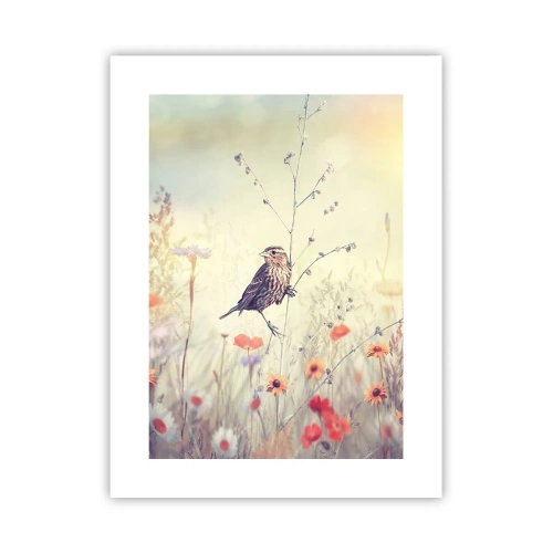 Plakat - Fugleportræt med en eng i baggrunden - 30x40 cm