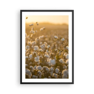 Plakat i sort ramme - En bomuldsmark i det varme lys fra den nedgående sol - 50x70cm - Et luftigt felt - Moderne vægdekoration til stue og soveværelse ARTTOR