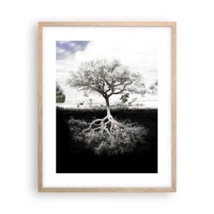 Plakat i ramme af lyst egetræ - Opdagelse af verdens natur - 40x50 cm