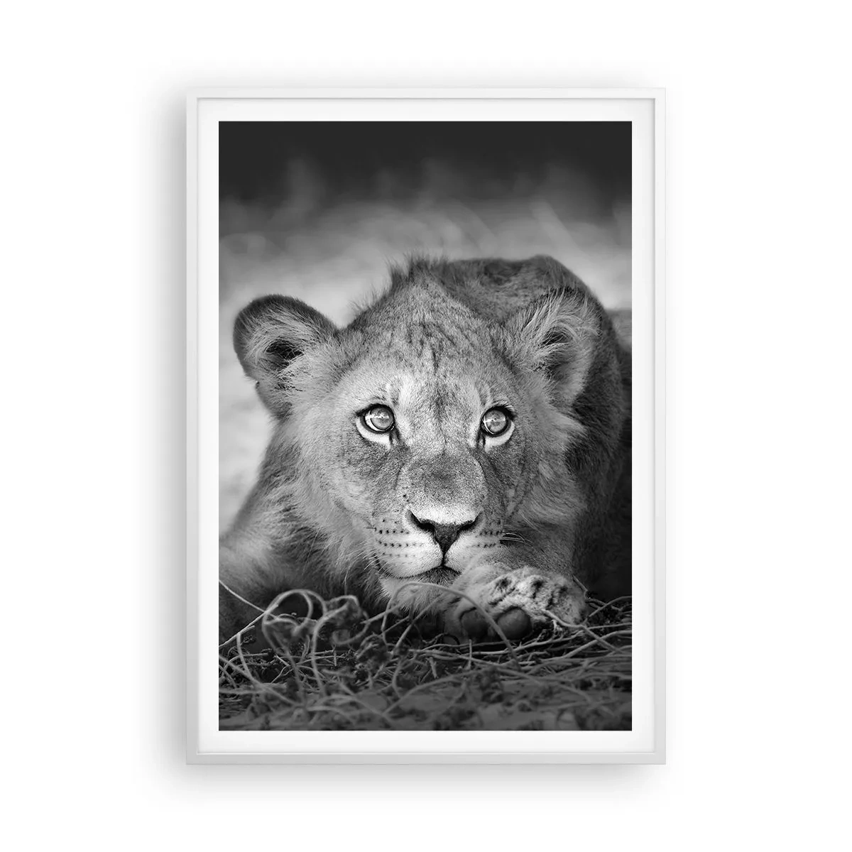 Plakat i hvid ramme - Kongelig hvalp - 70x100 cm