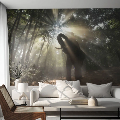 Fototapet Premium Canvas - Under en lykkelig stjerne - Landskab, Elefant, Jungle - 300x210 cm