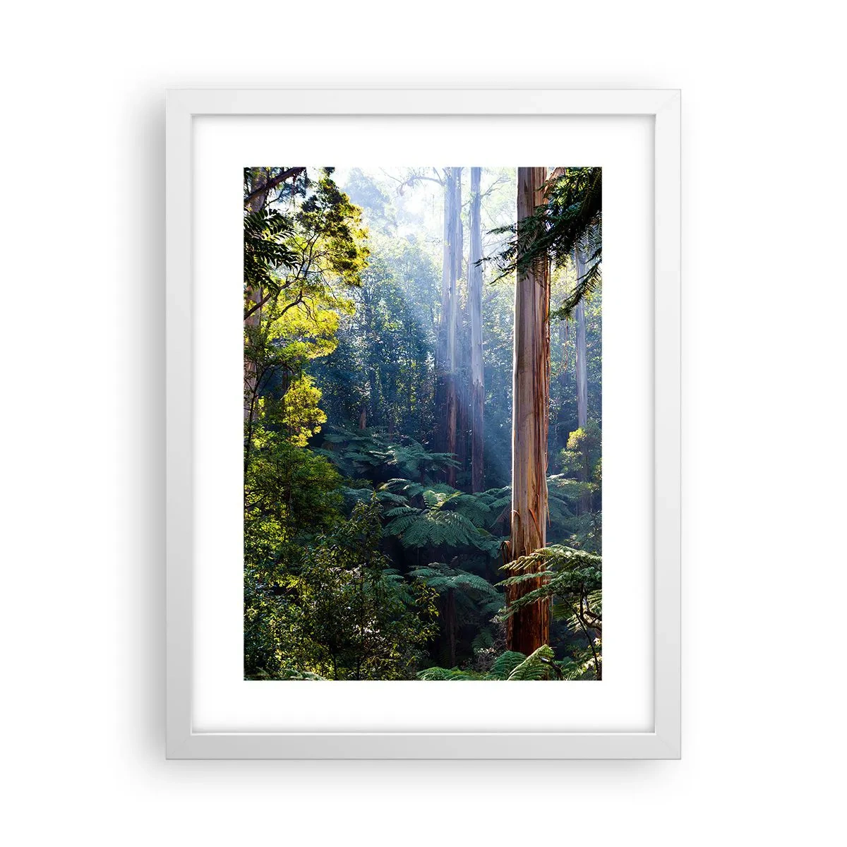 Plakat i hvid ramme - En fortælling om skoven - 30x40 cm