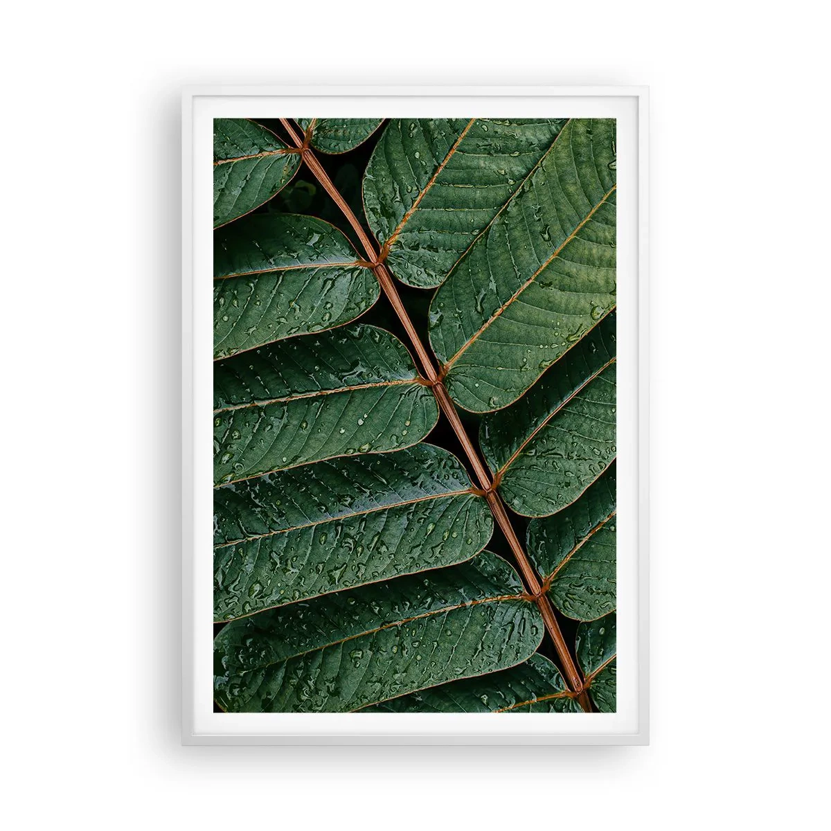 Plakat i hvid ramme - I en grøn rytme - 70x100 cm