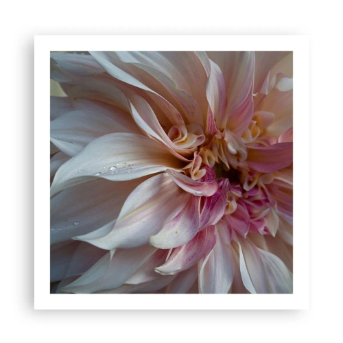 Plakat - Blomstrende friskhed - 60x60 cm