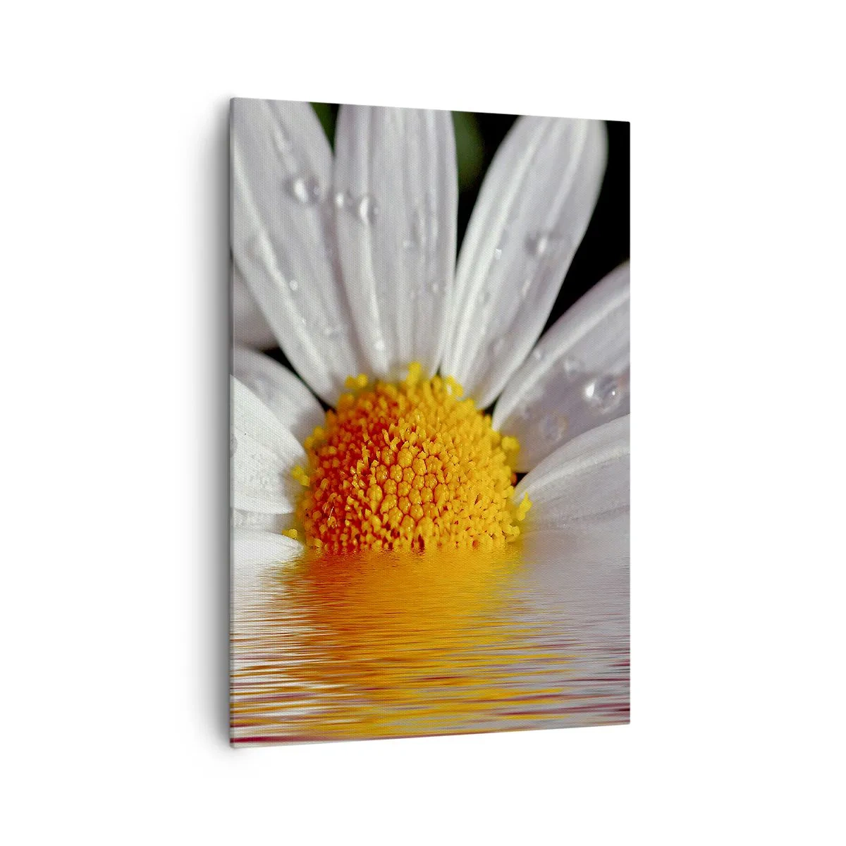 Lærredstryk - Billede på lærred - Den opgående sol på margaret - 70x100 cm