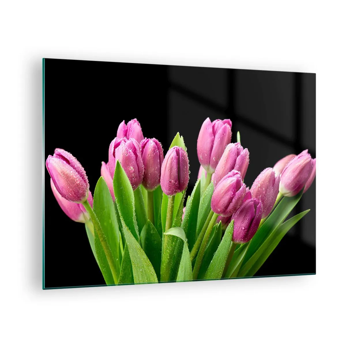 Billede på glas - En buket lyserøde tulipaner dækket med vanddråber på en sort baggrund. - 70x50cm - Forårets lilla glæde - Moderne vægdekoration til stue og soveværelse ARTTOR