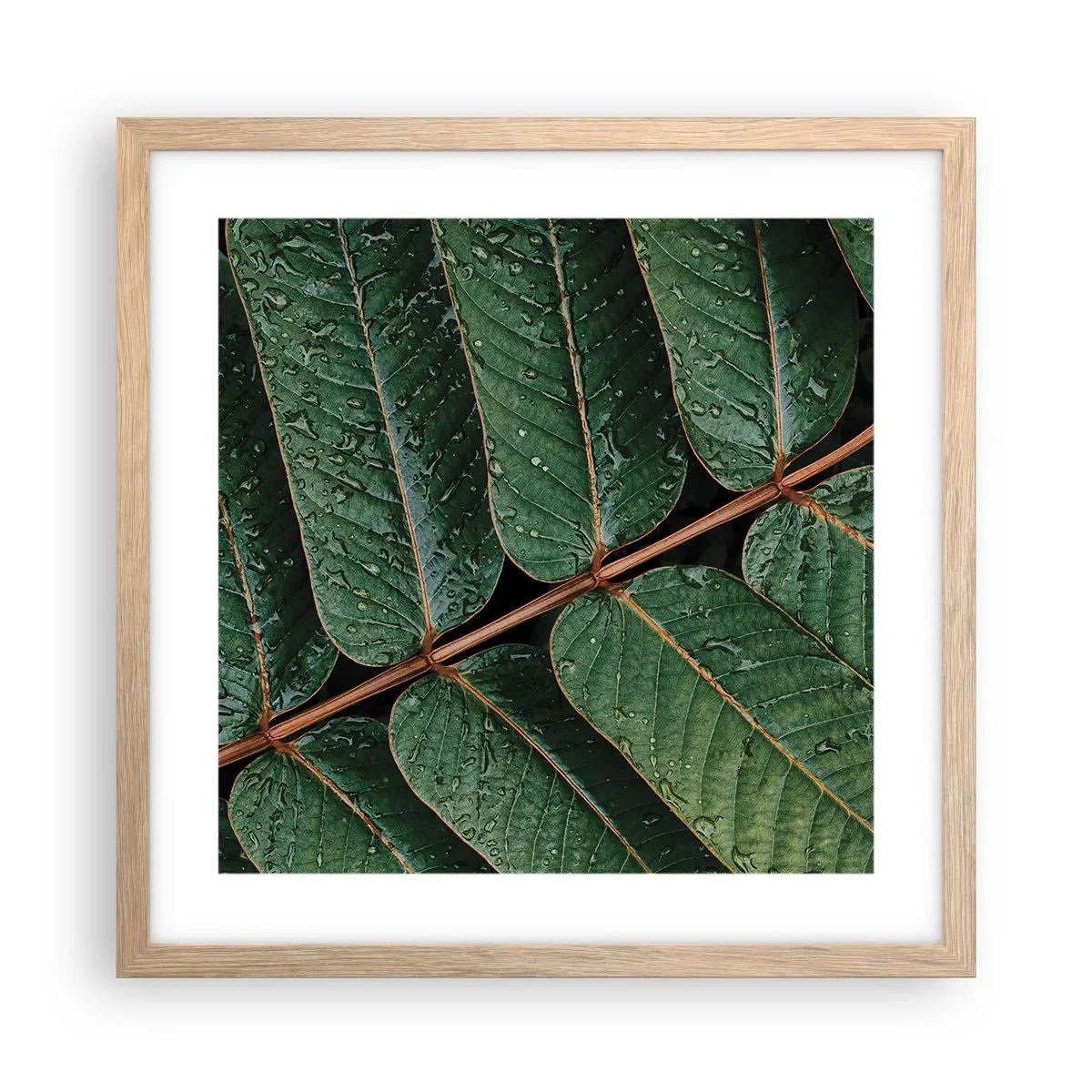 Plakat i ramme af lyst egetræ - I en grøn rytme - 40x40 cm