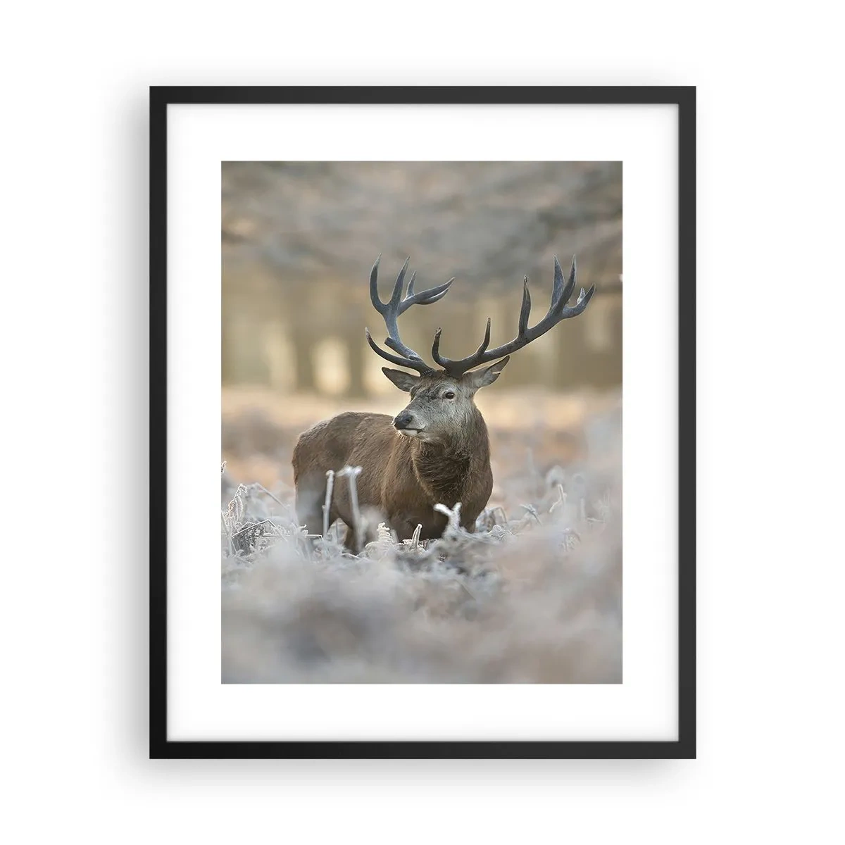 Plakat i sort ramme - En frisk morgen - 40x50 cm