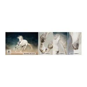 Prøve Fototapet Premium Canvas - Frihed i en ren tilstand - Hest, Dyr, hvid - 100x30 cm