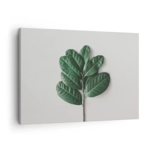 Lærredstryk - Billede på lærred - En kvist grønne blade på en lys baggrund - 70x50cm - Tegning af selve naturen - Moderne vægdekoration til stue og soveværelse ARTTOR