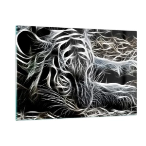 Billede på glas - En undersøgelse af kattens lethed - 120x80 cm