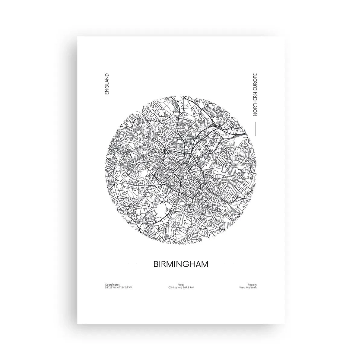 Plakat - Birminghams anatomi - 50x70 cm