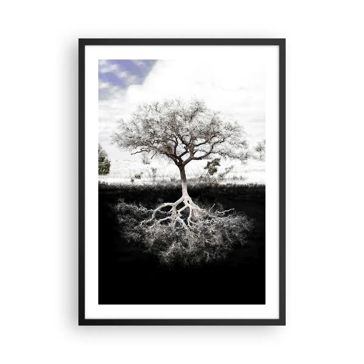 Plakat i sort ramme - Et minimalistisk træ med et synligt rodsystem - 50x70cm - Opdagelse af verdens natur - Moderne vægdekoration til stue og soveværelse ARTTOR
