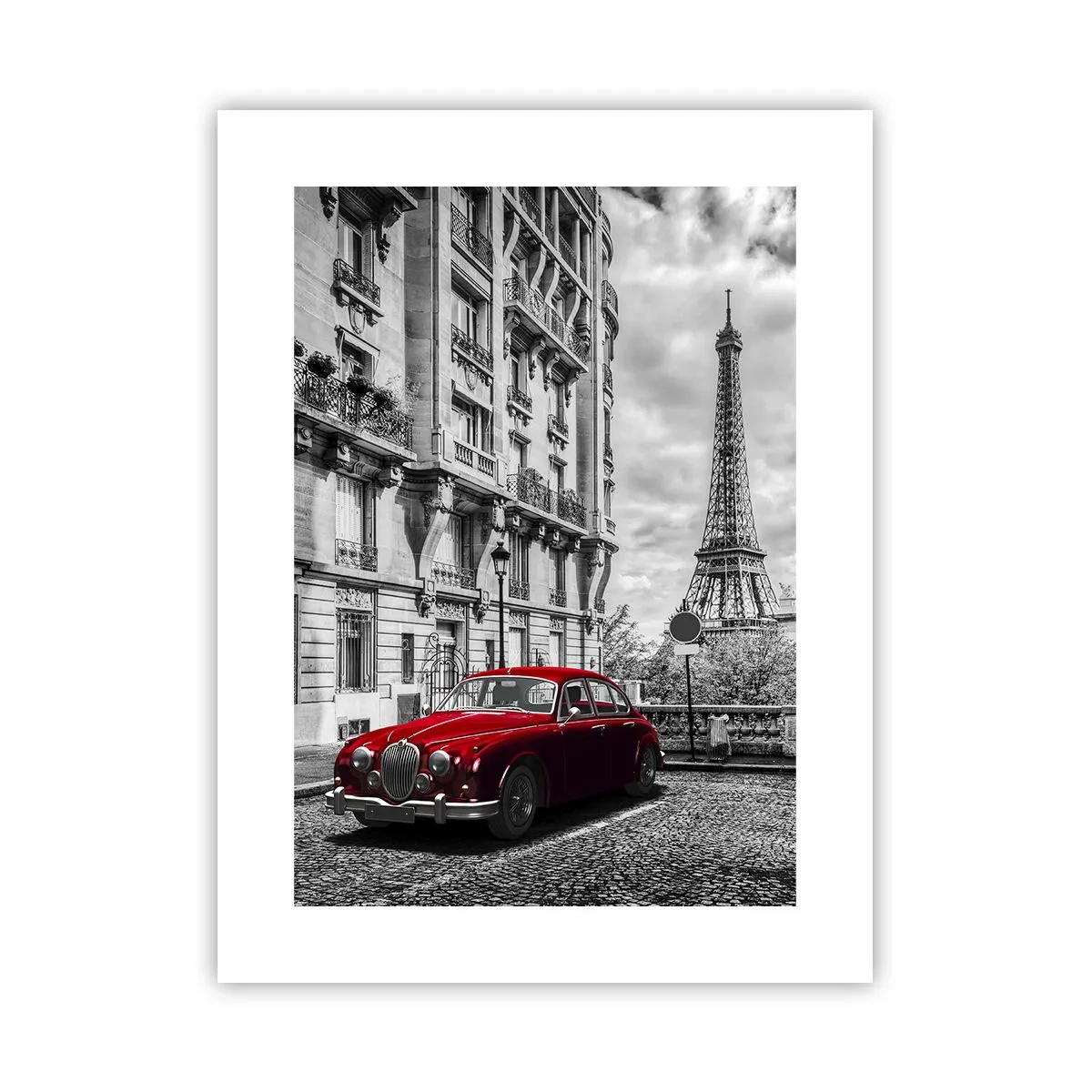 Plakat - Rovdyr i byen - 30x40 cm