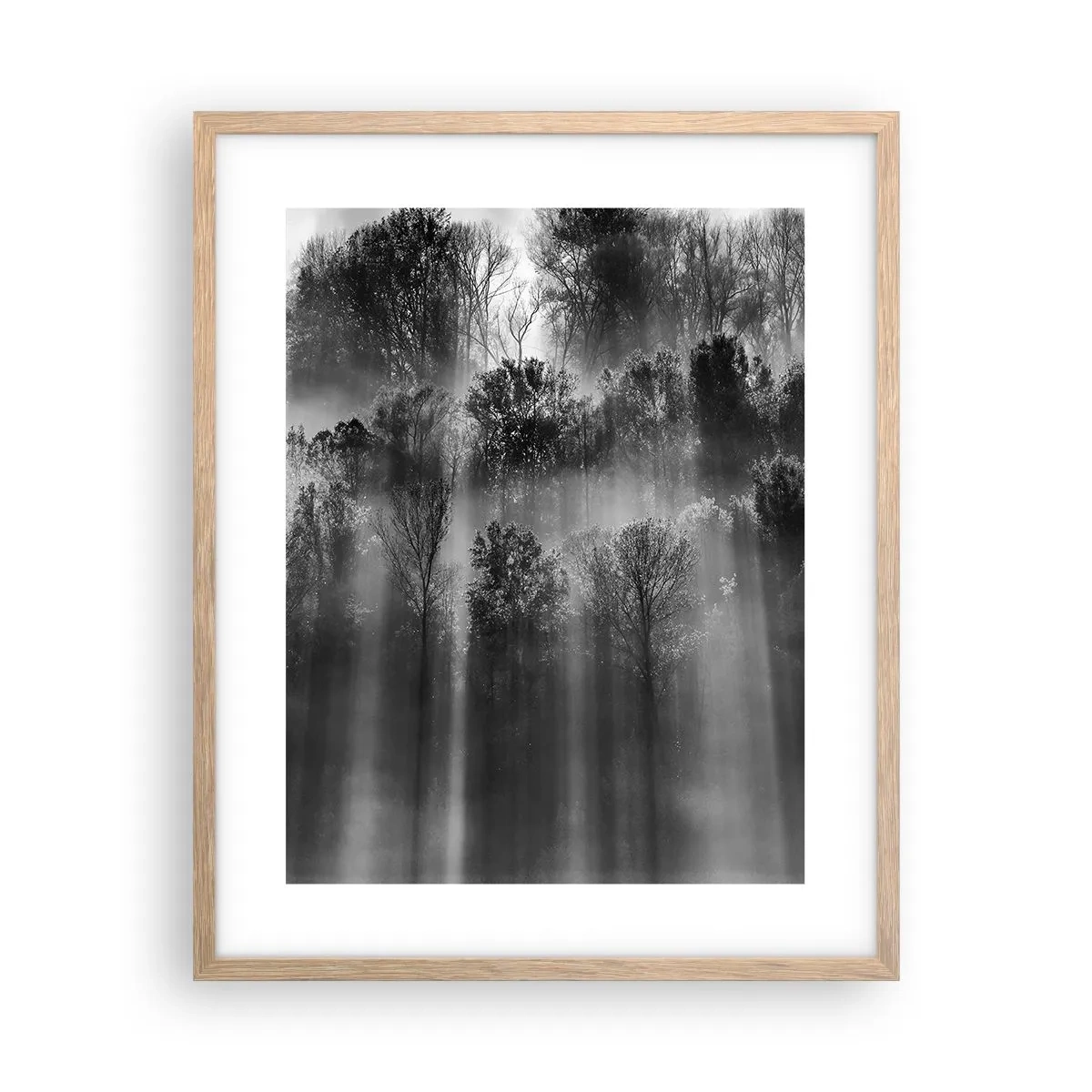 Plakat i ramme af lyst egetræ - I stråler af lys - 40x50 cm