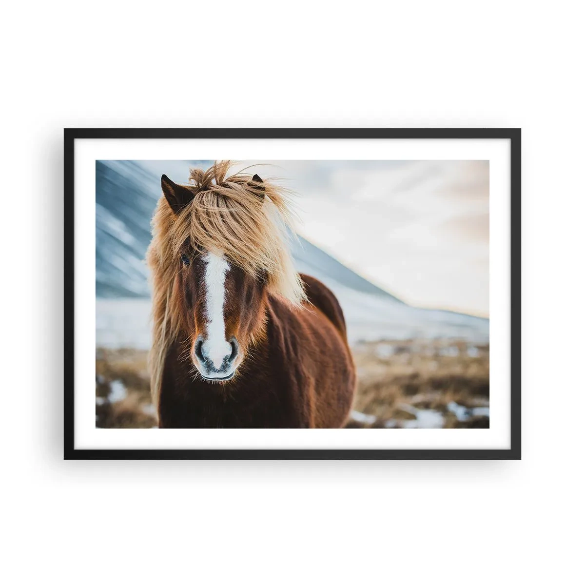 Plakat i sort ramme - Kan du mærke friheden? - 70x50 cm
