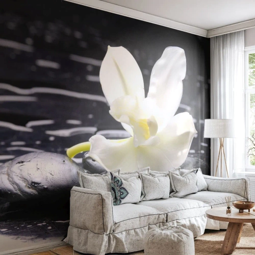 Fototapet Premium Canvas - Studie i sort og hvidt - Blomster, Sten, Orkidé - 300x210 cm