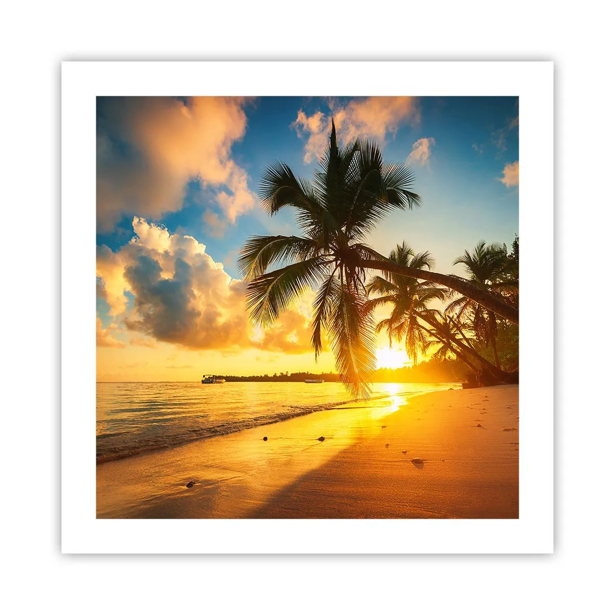 Plakat - Caribisk drøm - 50x50 cm