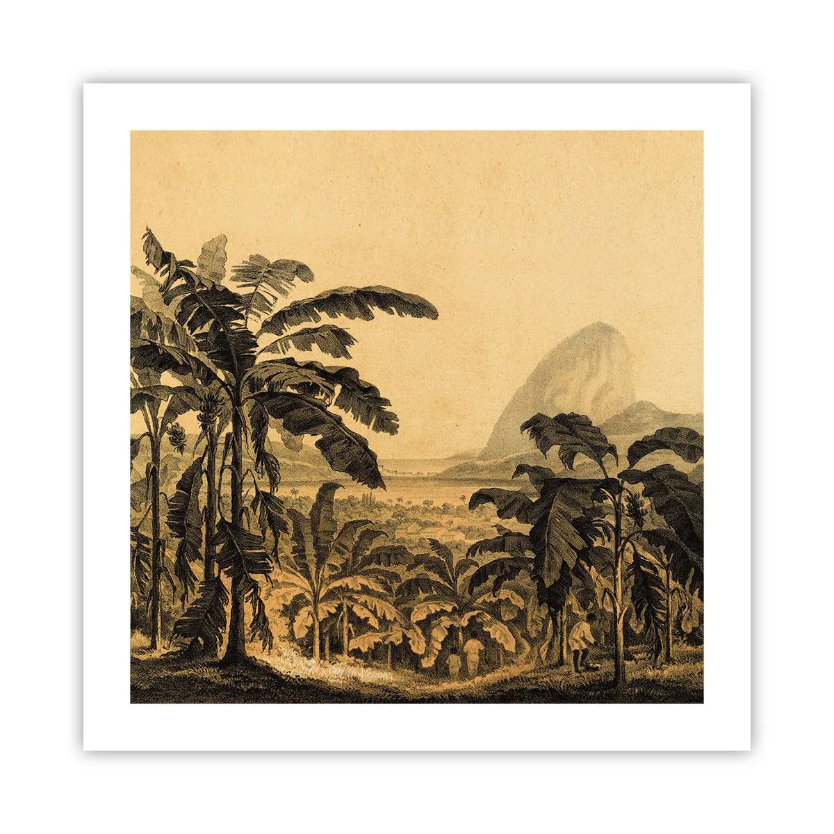 Plakat - I en kolonial atmosfære - 50x50 cm