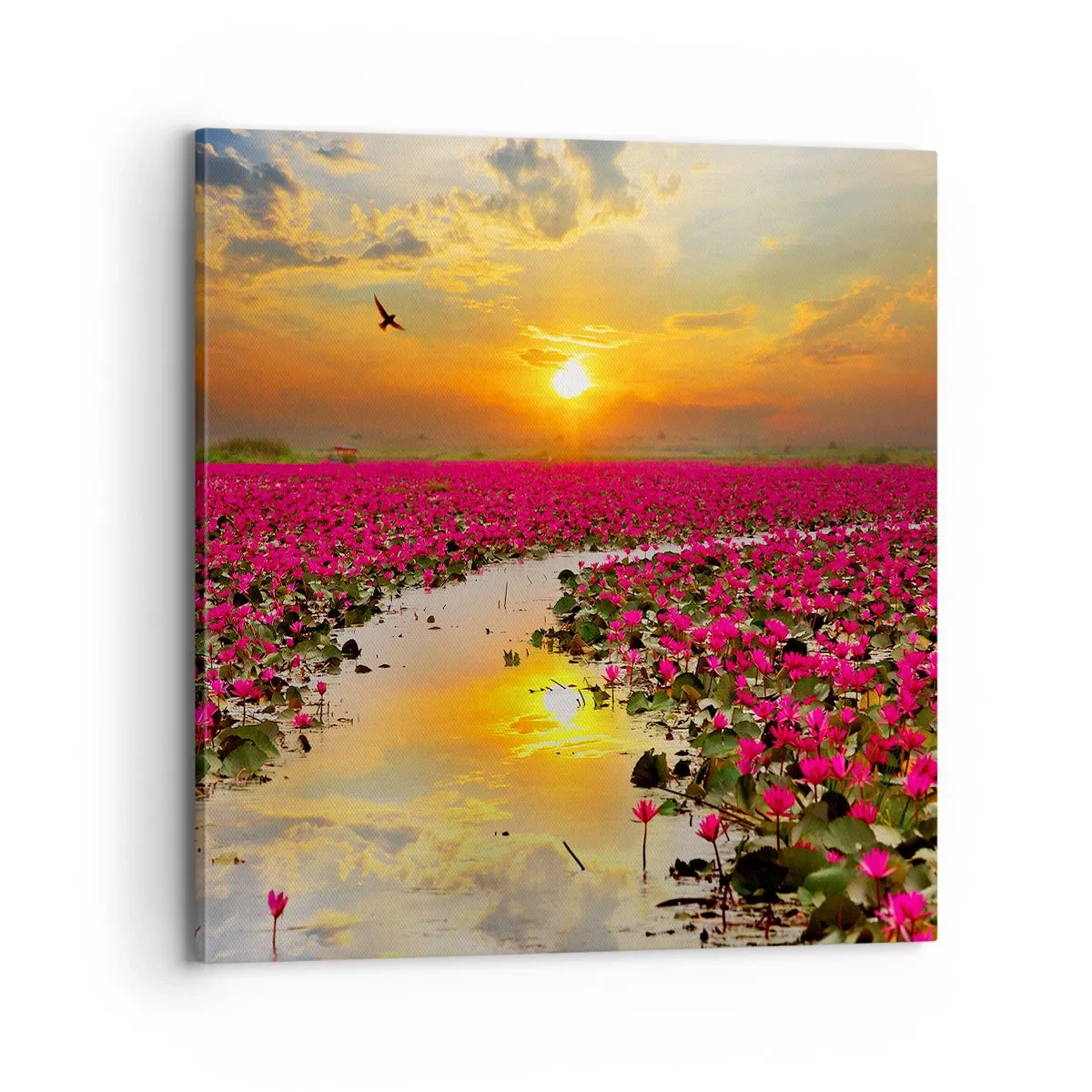 Lærredstryk - Billede på lærred - Søens hemmelige liv - 70x70 cm