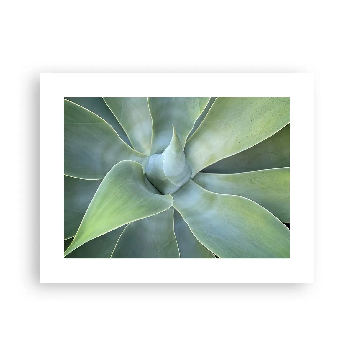 Plakat - Den grønne fødsel - 40x30 cm