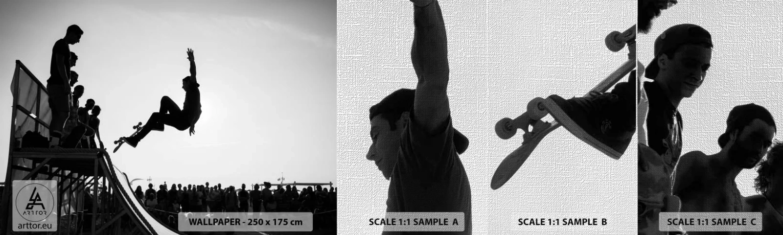 Prøve Fototapet Premium Canvas - Helte og tilskuere - Skater park, Skateboard, Sport - 100x30 cm