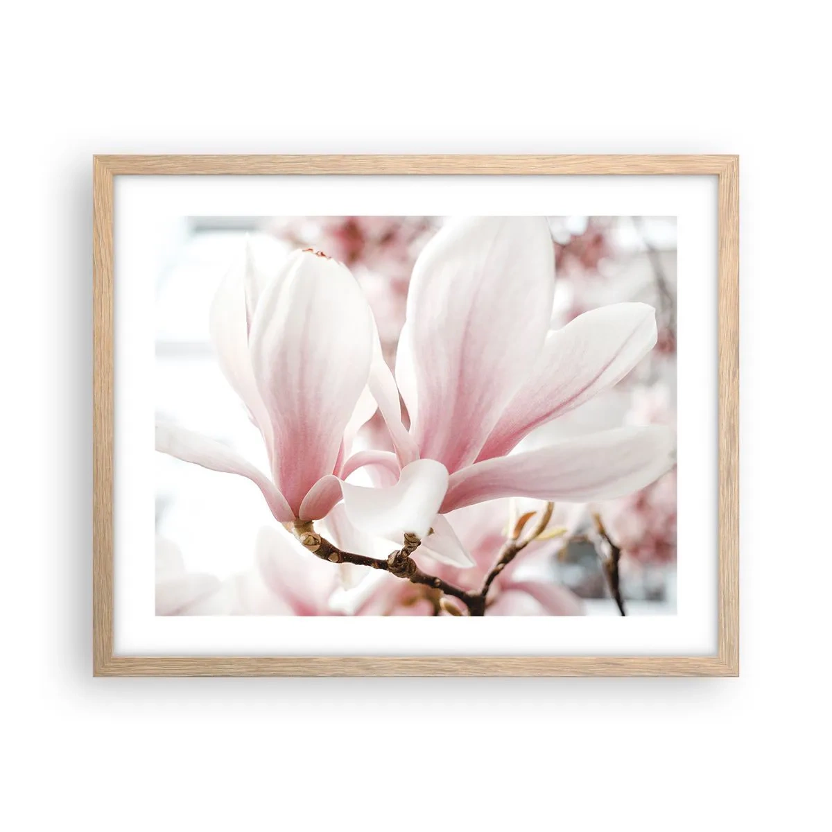 Plakat i ramme af lyst egetræ - Ømhedens umådelighed - 50x40 cm
