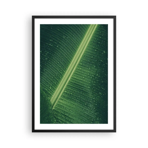 Plakat i sort ramme - Nærbillede af et grønt blad med vanddråber - 50x70cm - Grøn struktur - Moderne vægdekoration til stue og soveværelse ARTTOR