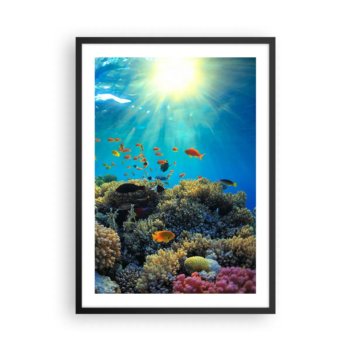 Plakat i sort ramme - Undervandslandskab med koralrev og farverige fisk - 50x70cm - Undervandsskatte - Moderne vægdekoration til stue og soveværelse ARTTOR