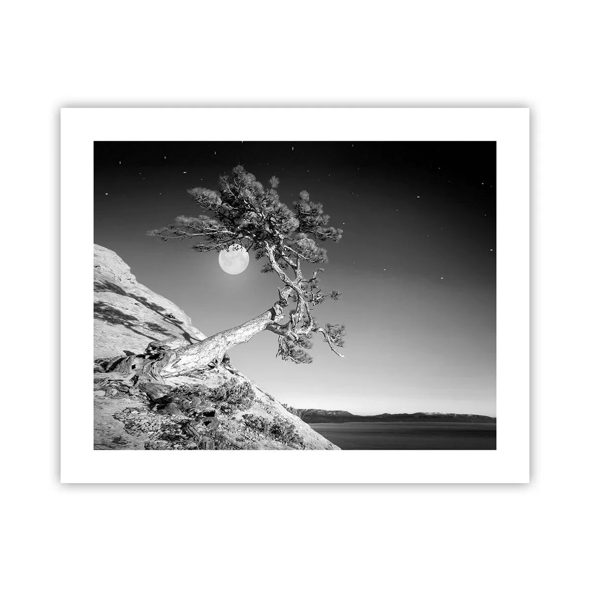 Plakat - Den sejrrige kriger - 50x40 cm