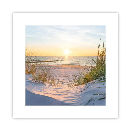 Plakat - Havet brummer, fuglene synger, en vild strand midt i græsset.... - 30x30 cm