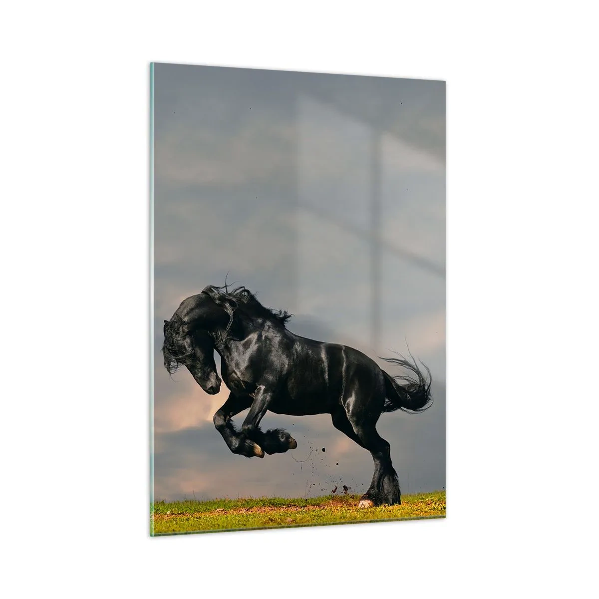Billede på glas - Smuk og fri - 50x70 cm