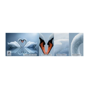 Prøve Fototapet Premium Canvas - Tid til kærlighed - Svaner, Elsker, Hjerte - 100x30 cm