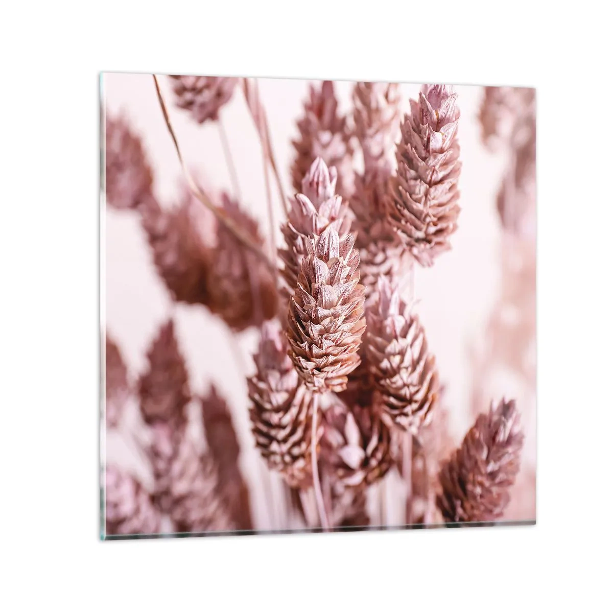 Billede på glas - Tilsyneladende ubemærket - 50x50 cm