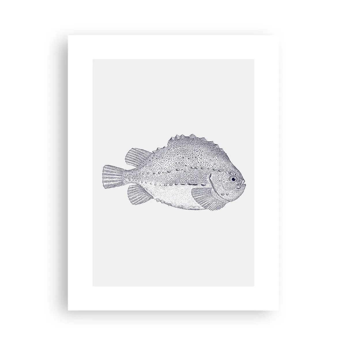 Plakat - Til naturforskerens album - 30x40 cm