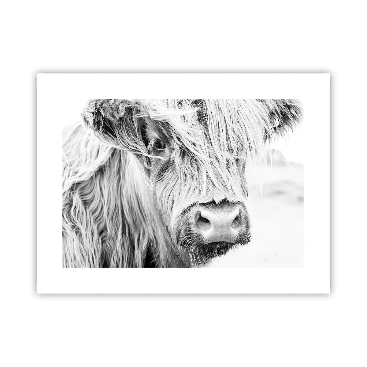 Plakat - Skotsk vildmark - 40x30 cm