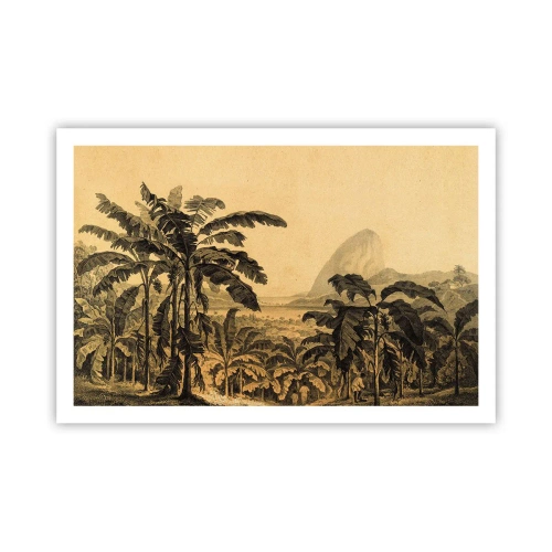 Plakat - I en kolonial atmosfære - 91x61 cm