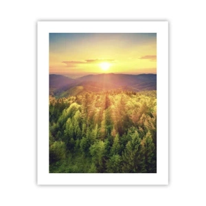 Plakat - Toppe og bjergtoppe - 40x50 cm