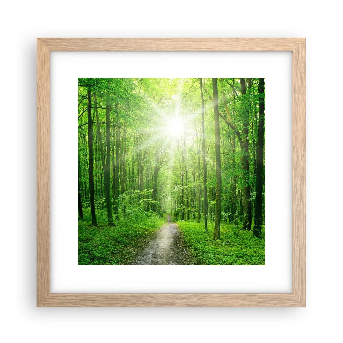 Plakat i ramme af lyst egetræ - Grøn katedral - 30x30 cm