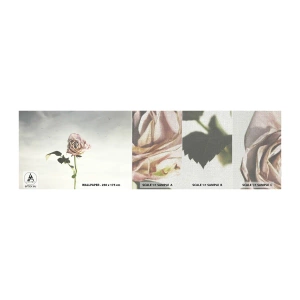 Prøve Fototapet Premium Canvas - Velkomst til foråret - Rose, Blomst, Stykke - 100x30 cm