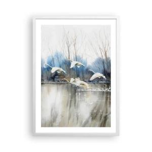 Plakat i hvid ramme - Som i en fortælling om vilde svaner - 50x70 cm
