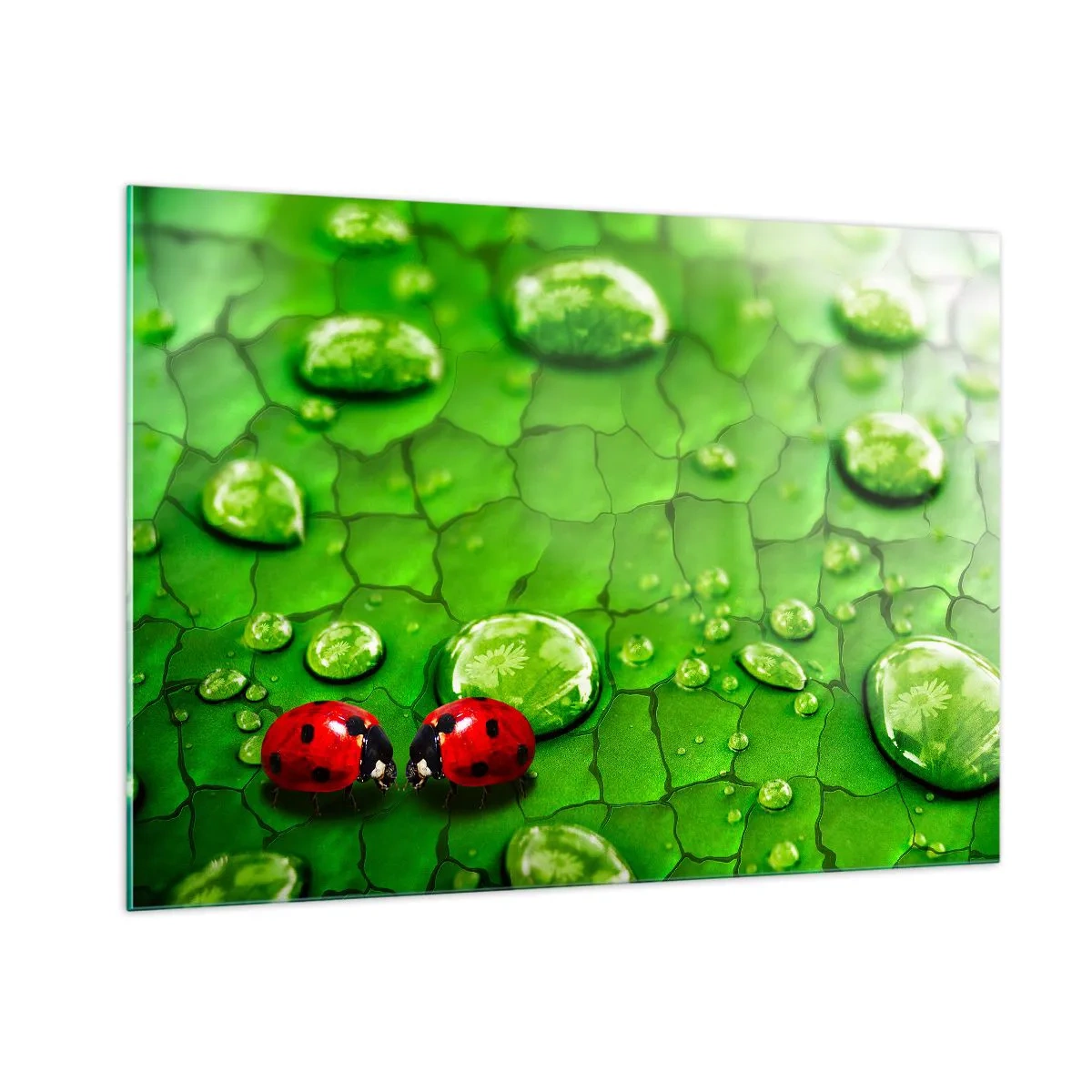 Billede på glas - Møde i det grønne - 100x70 cm