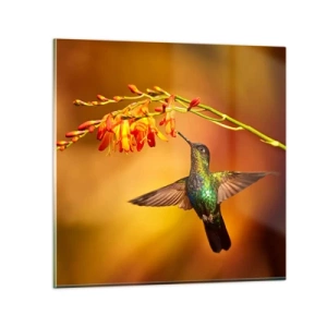 Billede på glas - Maya lysets budbringer - 40x40 cm