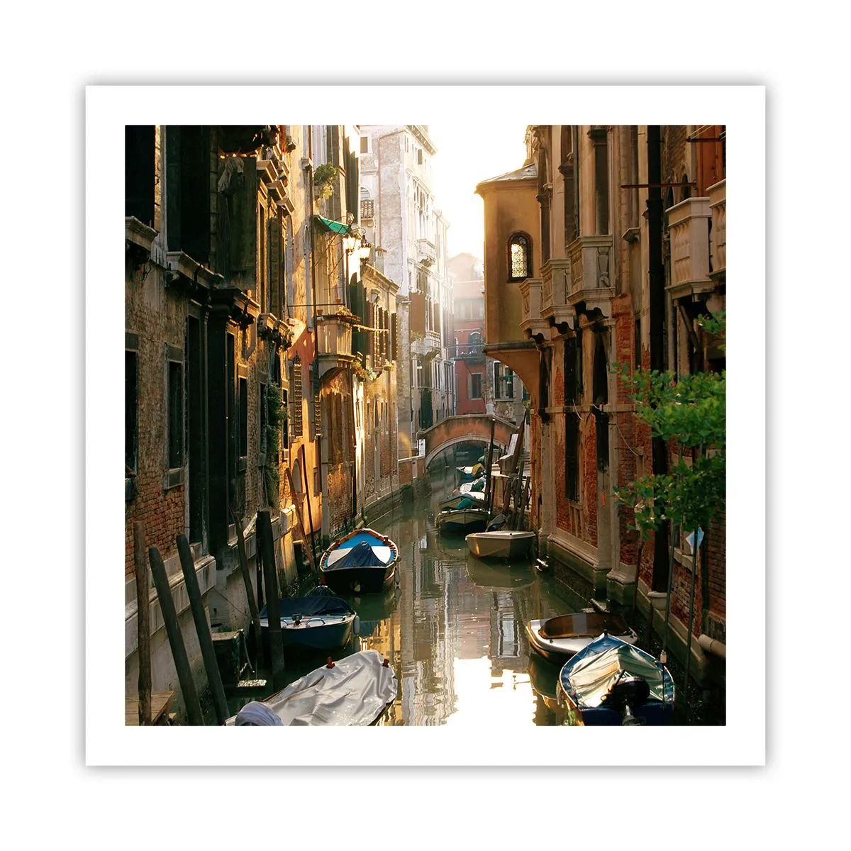 Plakat - I en venetiansk baggyde - 60x60 cm