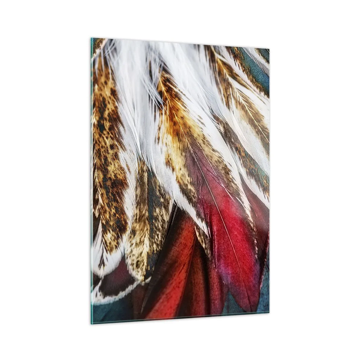 Billede på glas - Flyvningens hemmeligheder - 50x70 cm