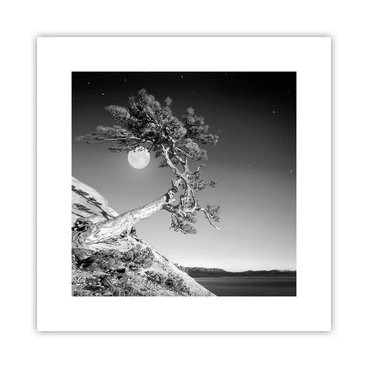 Plakat - Den sejrrige kriger - 30x30 cm