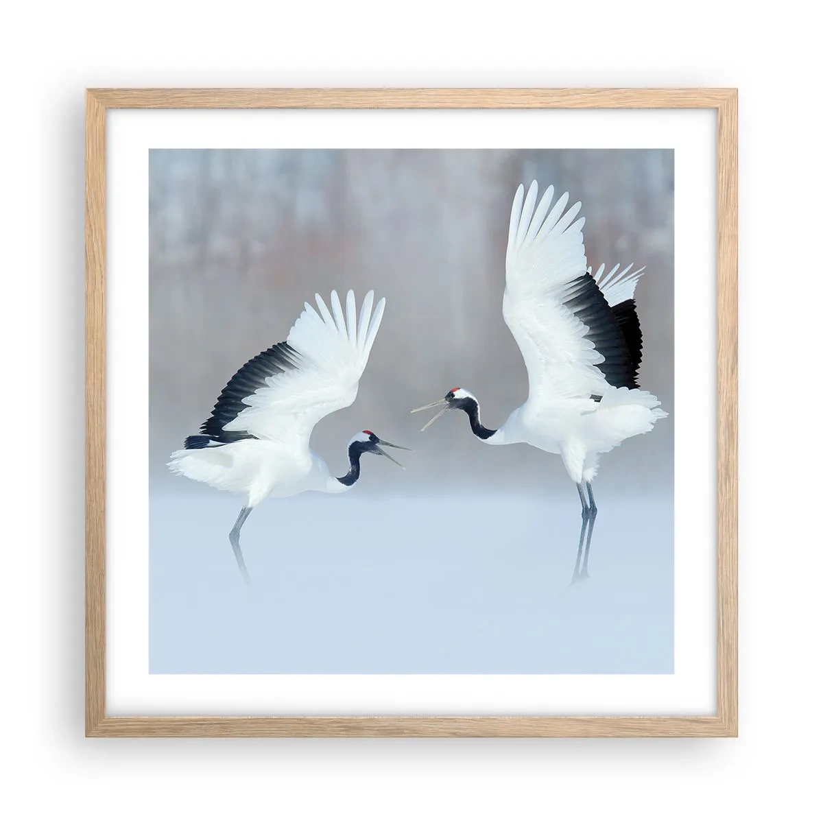 Plakat i ramme af lyst egetræ - Danser i tågen - 50x50 cm